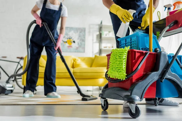 Upholstery Cleaning